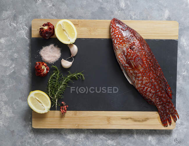Roter Fisch, Lippfisch roh frisch gekocht — Stockfoto