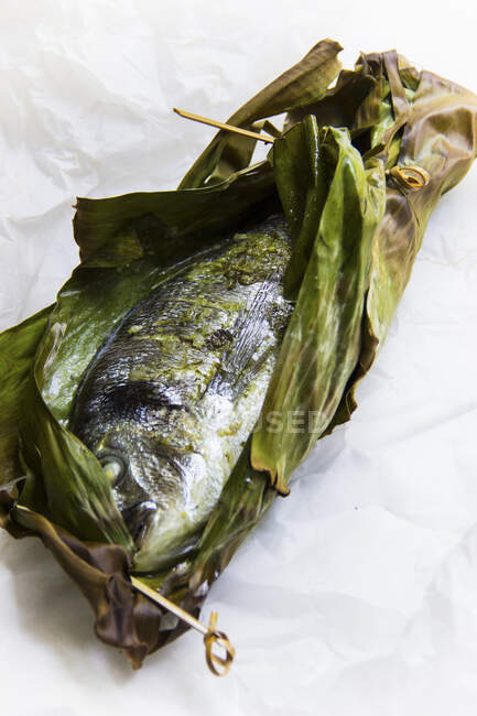 Steamed gilt-head bream in a banana leaf with pesto — Stock Photo