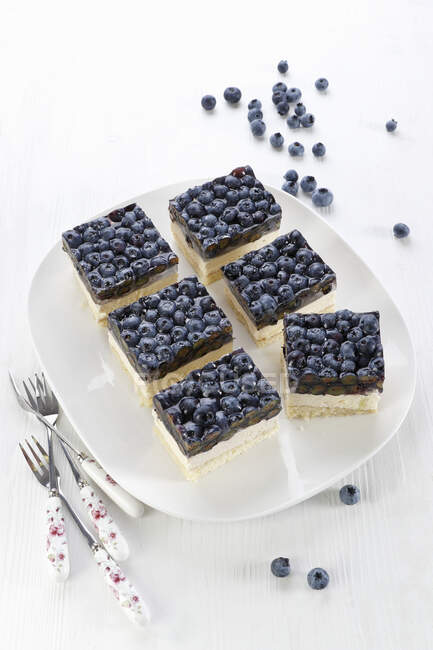 Cream cake with blueberries in jelly — Stock Photo