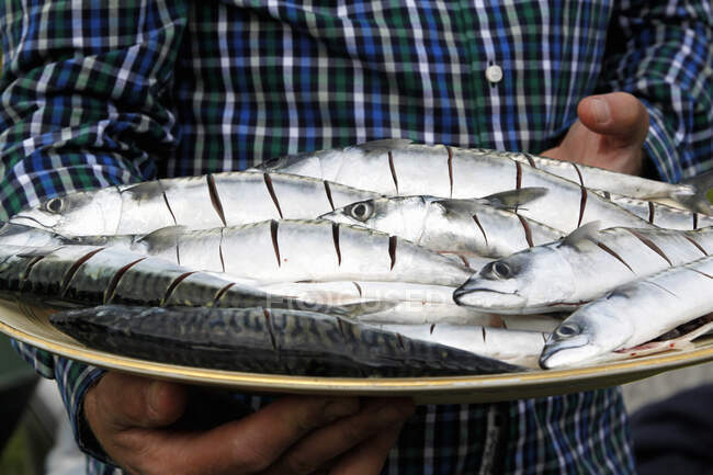 Тарілка свіжого Mackerel готова до барбекю — стокове фото