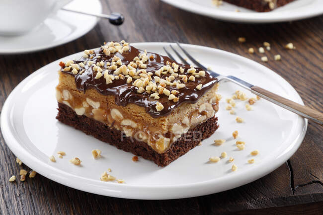 Chocolate nut cake with chocolate coating — Stock Photo