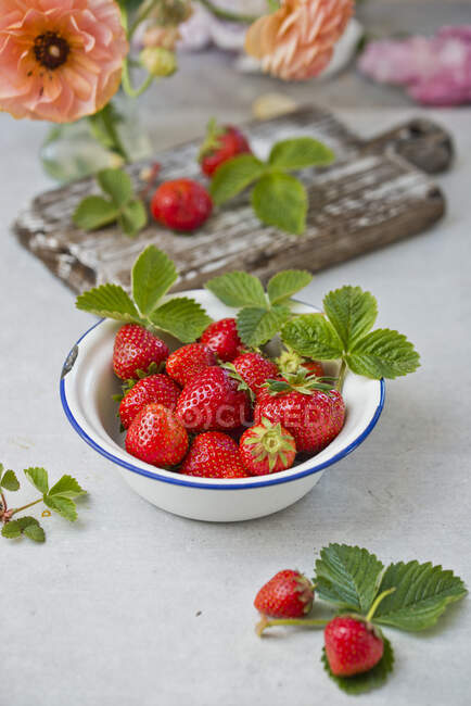 Frische Erdbeeren mit grünen Blättern in Emaille-Schüssel — Stockfoto