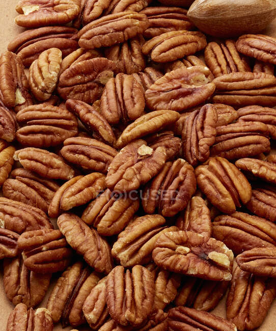 Pile of Pecans without shells, close up shot — Stock Photo