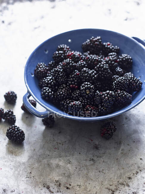 Close-up shot of delicious Blackberries in colander — Stock Photo