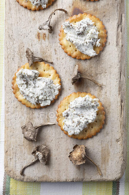 Winter Chanterelle and stilton pate on savory biscuit — Stock Photo