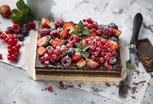 Homemade chocolate cake with berries and mint on a white plate — Stock Photo