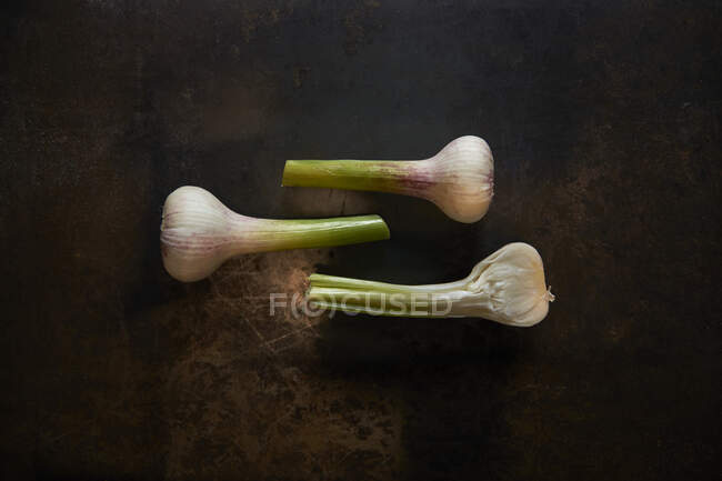 Tre bulbi di aglio freschi su uno sfondo in metallo — Foto stock