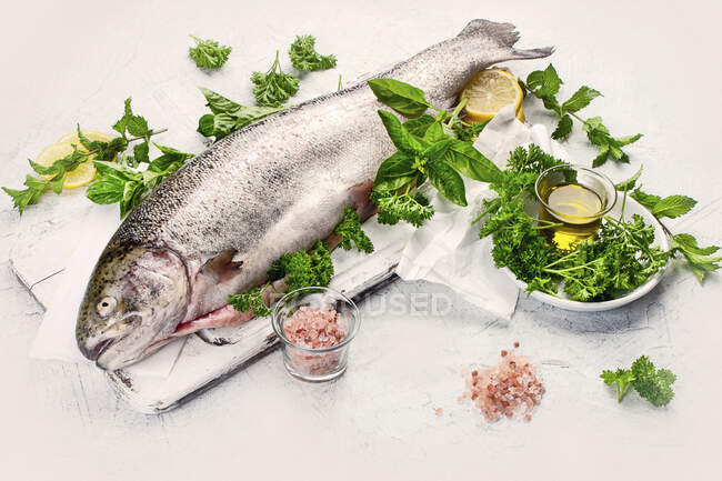 Whole fresh trout with fresh herbs — Stock Photo