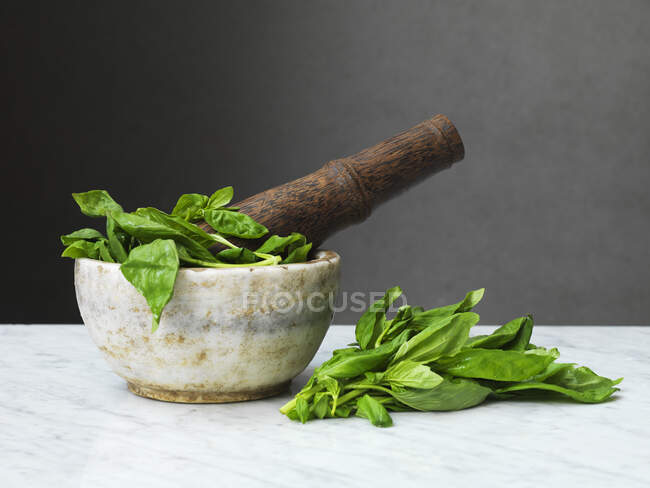 Pestle and mortar with fresh Basil on marble surface — Stock Photo