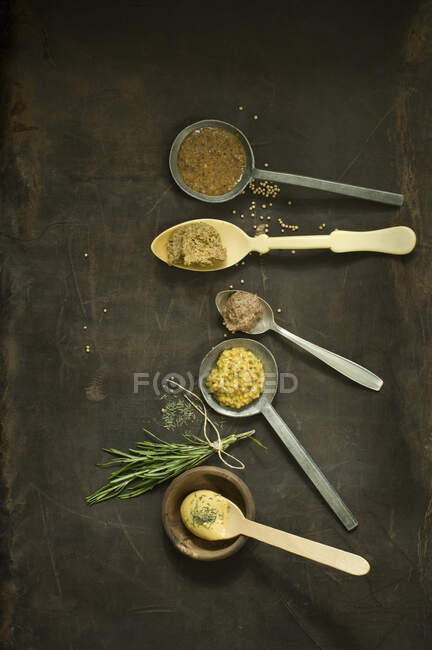 Différents types de moutarde sur cuillères, thym, romarin — Photo de stock