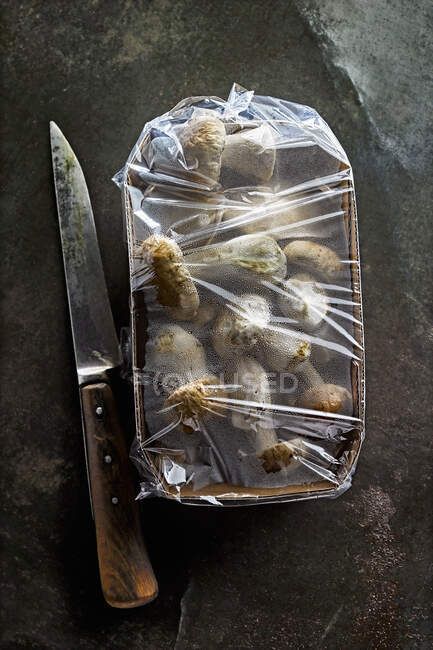 Gros plan de délicieux paquet de champignons — Photo de stock