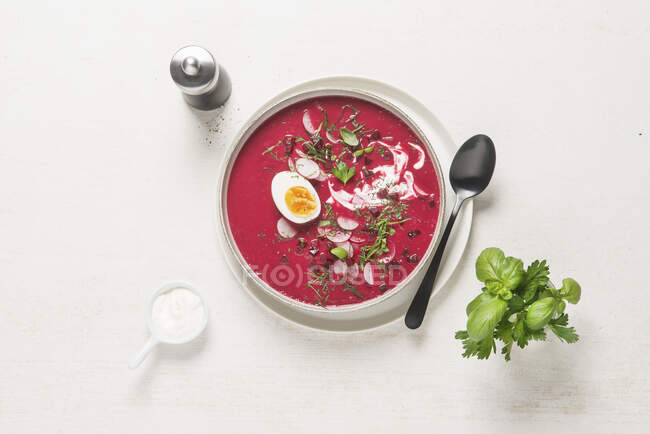Польский свекольный суп с яйцом — стоковое фото