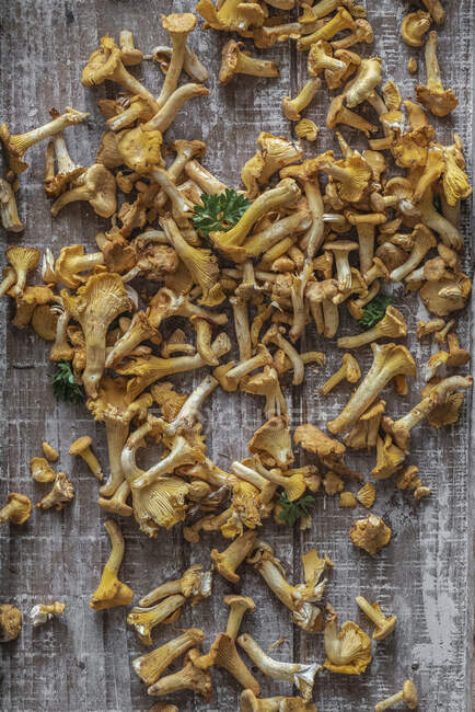 Fresh chanterelles with parsley on wooden board — Stock Photo
