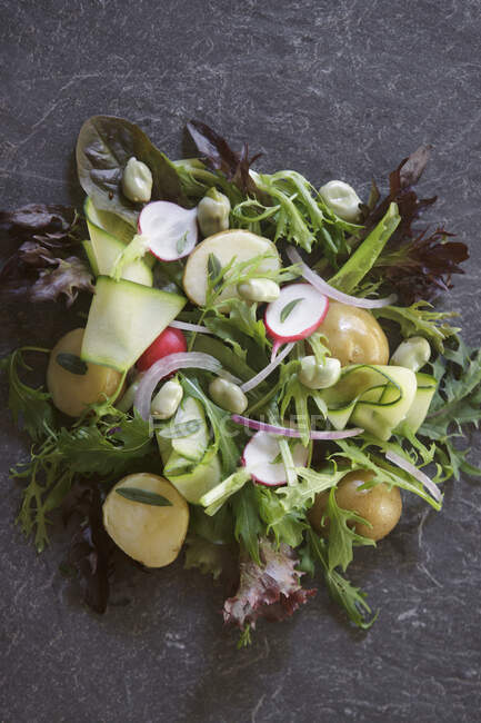 Summer garden salad with ew potatoes, radish, broad beans, courgette and red onion — Stock Photo