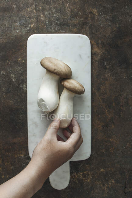 Fresh king trumpet mushrooms on a marble board — Stock Photo