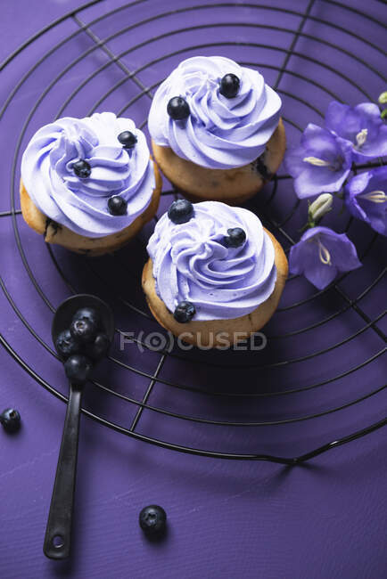 Vegan cupcakes with blueberries and purple cream topping — Stock Photo