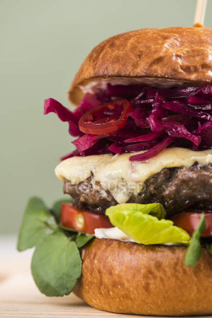 A burger with tomato, salad and red cabbage, close up — Stock Photo