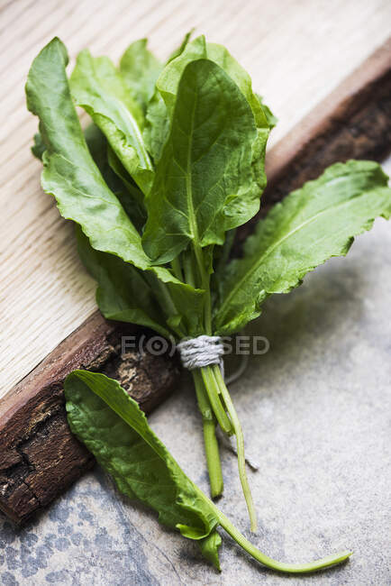 A bundle of spinach — Stock Photo