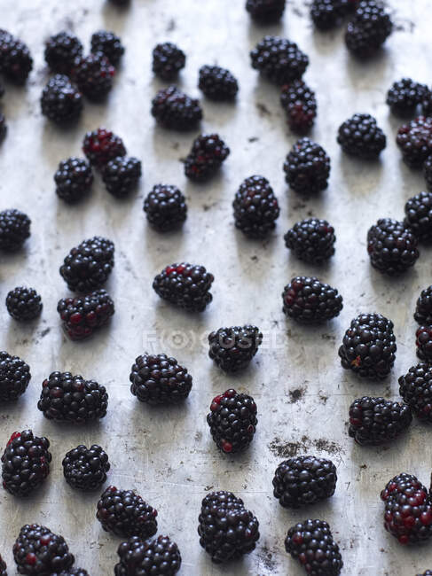Close-up shot of delicious Blackberries on baking sheet — Stock Photo