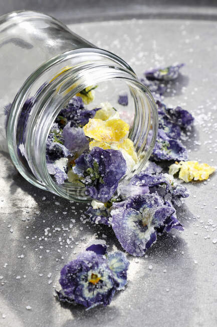 Close-up shot of delicious Sugar-dried pansies — Stock Photo