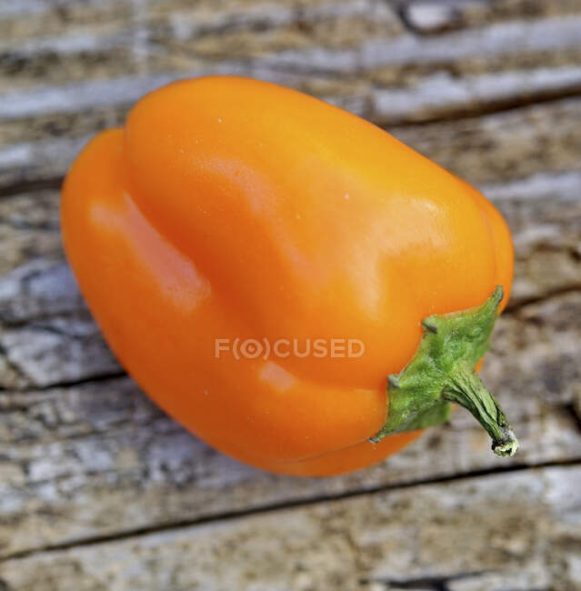 Un poivre orange sur fond de bois — Photo de stock