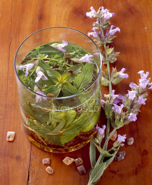 Травяной чай в стакане с липовыми цветами на столе — стоковое фото