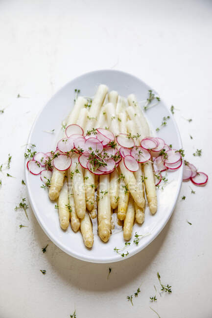 White asparagus salad with radishes and cress — Stock Photo