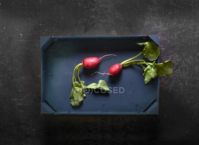 Deux radis dans une caisse en bois — Photo de stock