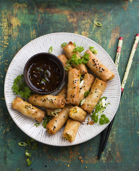 Vegan spring rolls with a vegetable filling — Stock Photo