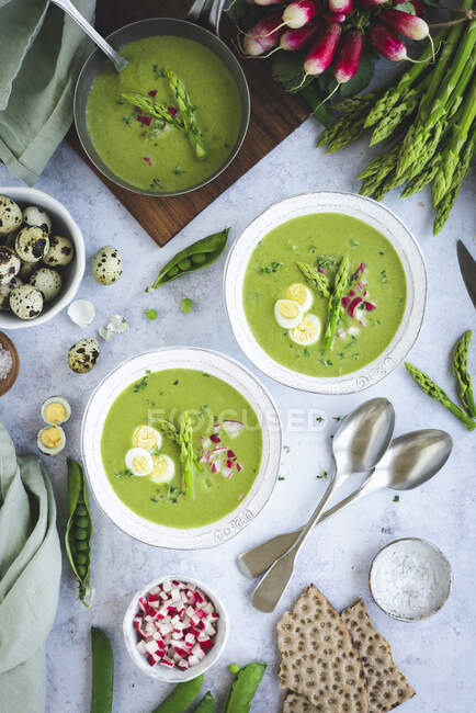 Zuppa di asparagi verdi con ravanelli e uova — Foto stock