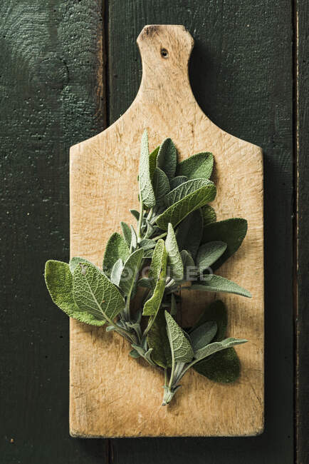 Folhas de sálvia frescas em tábua de madeira — Fotografia de Stock