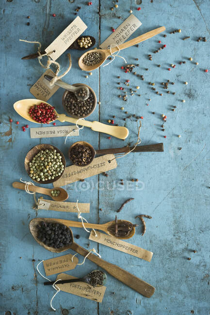 Um arranjo de vários tipos de pimentas em colheres — Fotografia de Stock