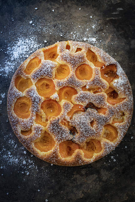 An apricot cake dusted with icing sugar — Stock Photo
