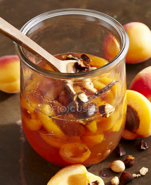 Homemade apricot liqueur with seeds, fruit, vanilla and wine spirit - foto de stock