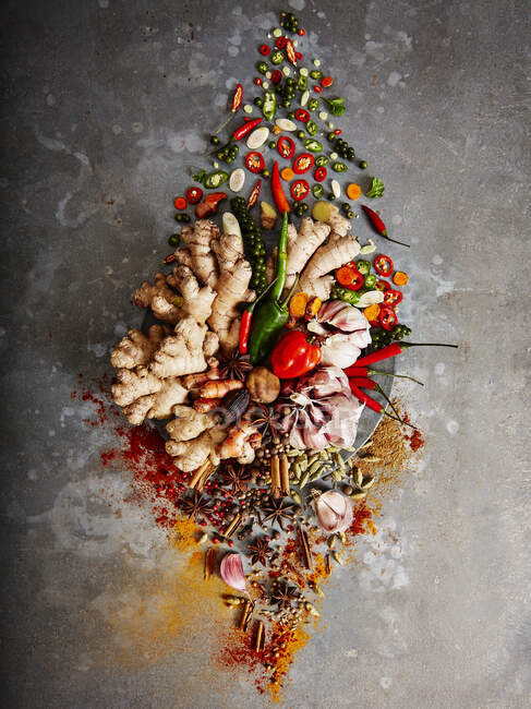 Arrangement of fresh and dried spices — Stock Photo