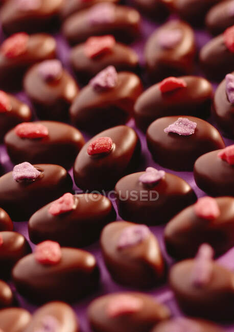 Троянди та фіолетові шоколадні цукерки на бузковому фоні — стокове фото