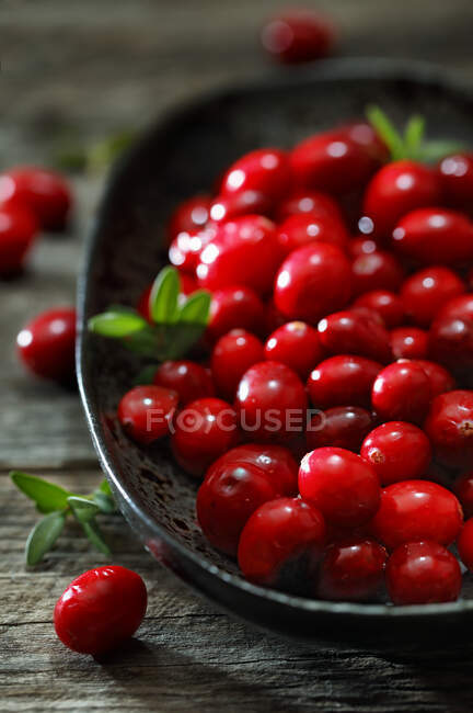Fresh cranberries on a ceramic plate — Stock Photo