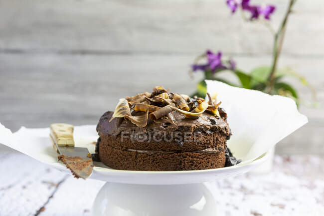 Close-up de delicioso bolo de chocolate — Fotografia de Stock