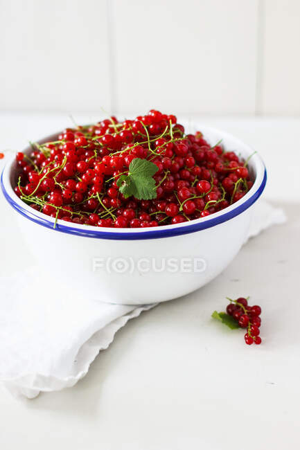 Fresh red currant in a bowl — Stock Photo