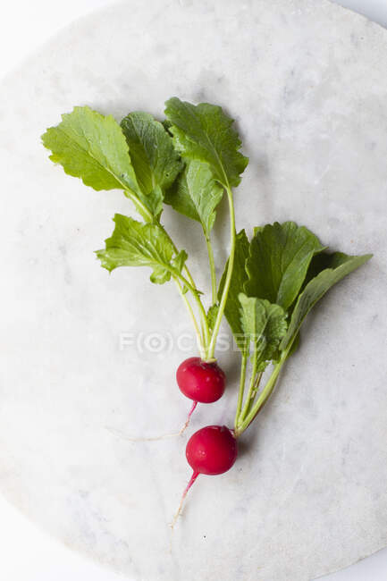 Two fresh radishes on a light surface — Stock Photo