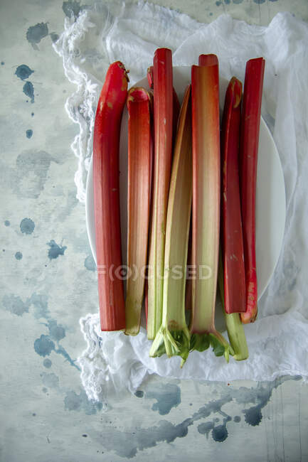 Rhubarb on the table — Fotografia de Stock