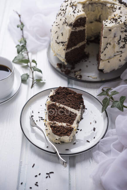 Torta Bundt al cioccolato con crema vegana di zabaione alla soia — Foto stock