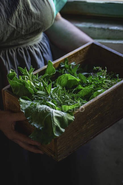 Boîte vintage pleine de légumes verts — Photo de stock