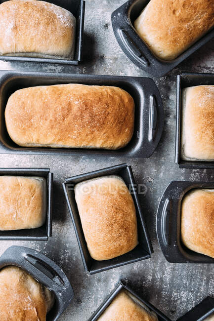 Mini white bread loaves in metal tins — Stock Photo