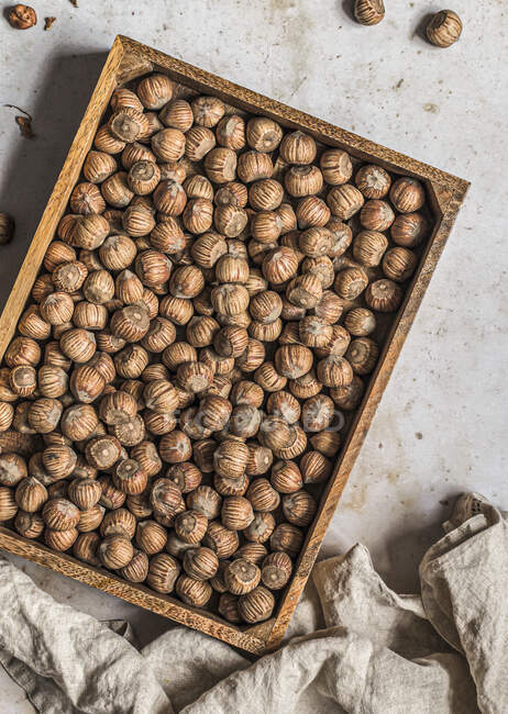 Avelãs em bruto em conchas em bandeja de madeira — Fotografia de Stock