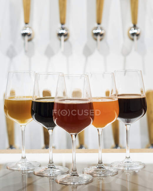 Різні види пива, що відображаються в келихах для вина — стокове фото