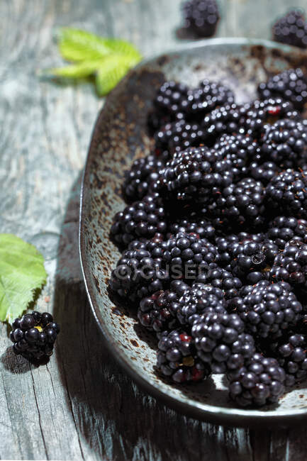 Fresh blackberries in a bowl on a wooden background — Stock Photo