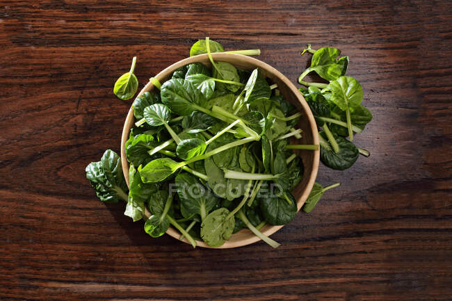 Mini paksoi leaves in a wooden bowl — Stock Photo