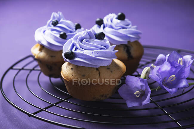 Vegane Cupcakes mit Blaubeeren auf violettem Sahnebelag — Stockfoto