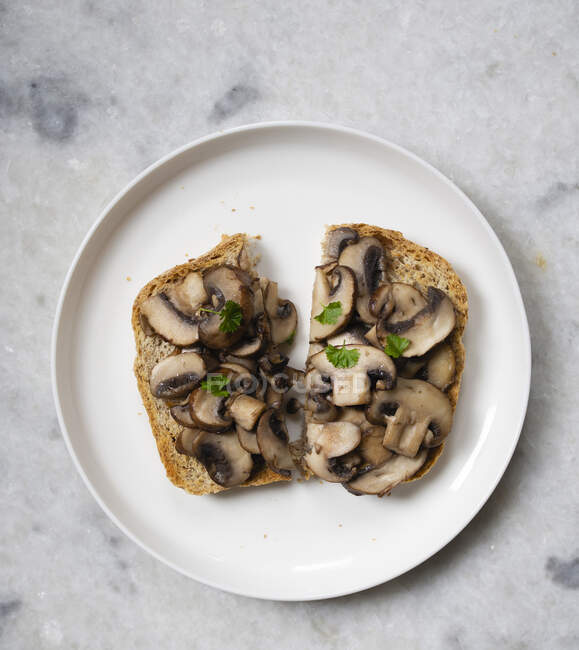 Gros plan de délicieux sandwich aux champignons — Photo de stock
